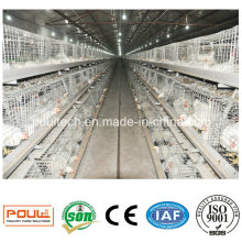 Système de cage de poulets de chair Poultry Farm Equipment